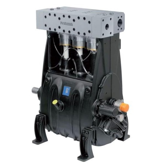 BOMBAS PRATISSOLI SERIE TR